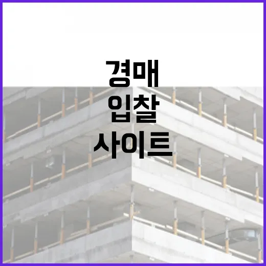 무료경매사이트만 믿고 입찰했다가 현장에서 식은땀 난 이야기 - 요약