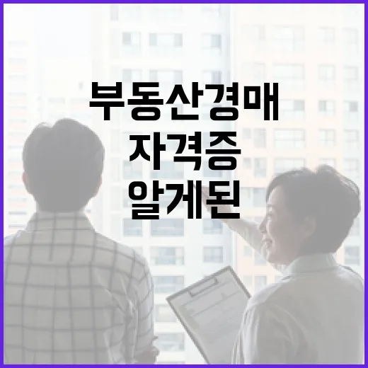 부동산경매자격증 따고 법원 갔다가 알게 된 진짜 쓸모 - 요약
