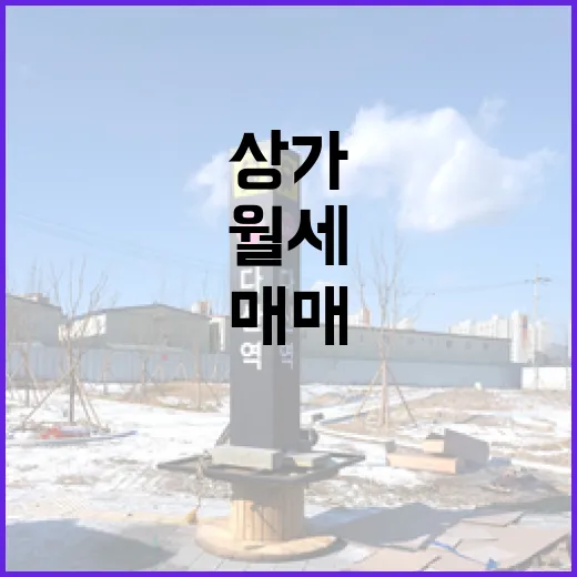 상가매매 직접 뛰어보니, 월세보다 먼저 봐야 할 게 있더라 - 요약