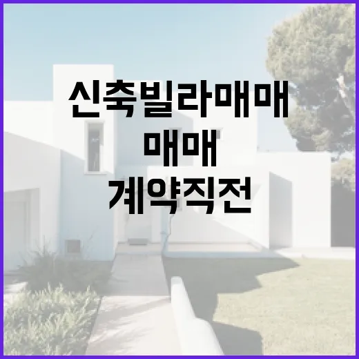 신축빌라매매 계약 직전까지 갔다가 발 뺀 이야기 - 요약
