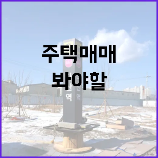 주택매매 직접 해보니, 싼 집보다 먼저 봐야 할 것들 - 요약