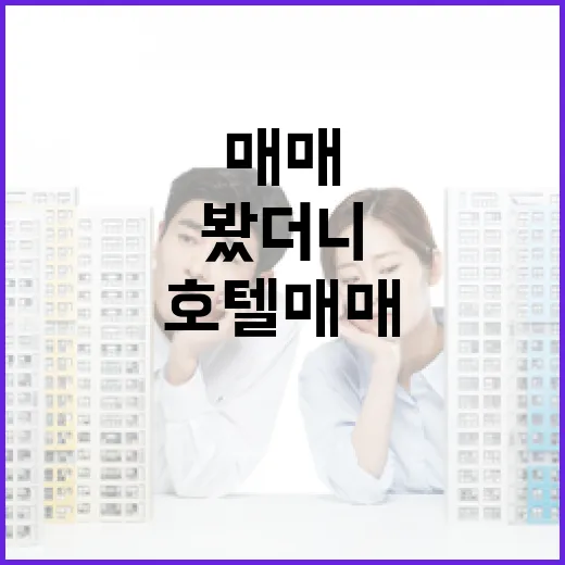 부동산컨설팅 믿고 따라갔다가 입찰장에서 멈춘 이야기 - 요약
