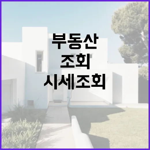 부동산시세조회 믿고 입찰했다가 1,800만 원 날릴 뻔한 이야기 - 요약