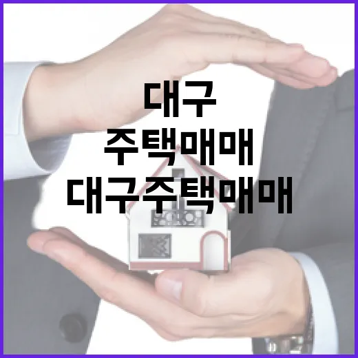 대구 주택 매매 물건을 경매장 기준으로 직접 걸러봤더니 보인 것들 - 요약