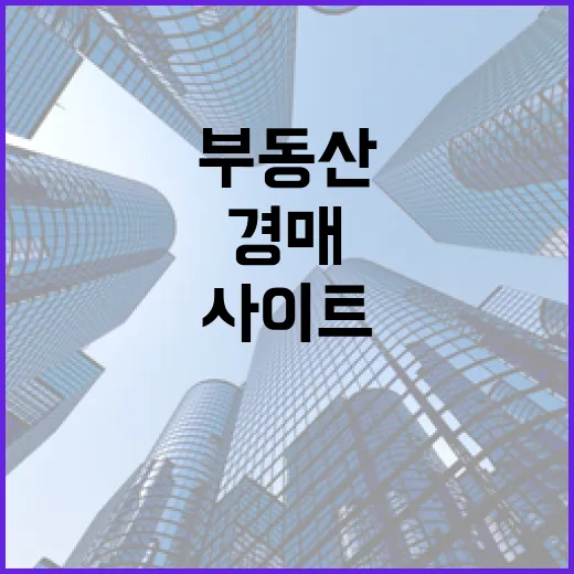 부동산사이트만 믿고 경매 물건 찍었다가 현장에서 식은땀 난 이야기 - 요약