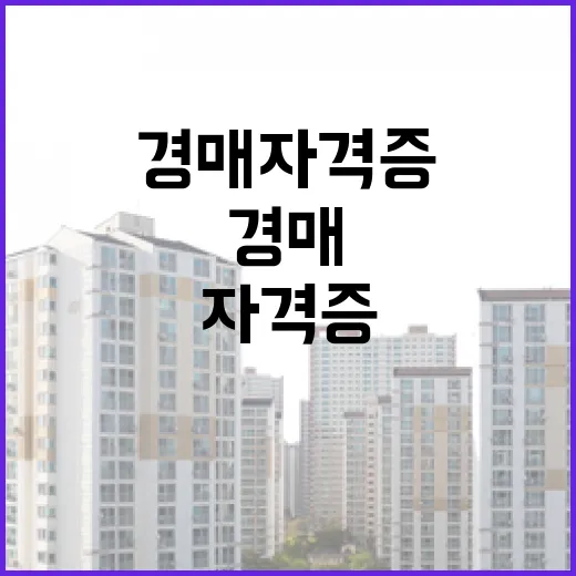 경매자격증 따면 입찰이 쉬워질까, 현장에서 10년 굴러본 사람이 본 진짜 쓸모 - 요약