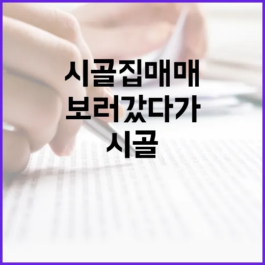 시골집매매 물건을 직접 보러 갔다가 계약서보다 마당을 먼저 본 이유 - 요약