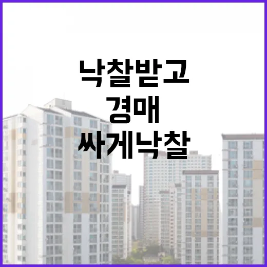 경매 물건 싸게 낙찰받고 세금 계산 다시 해봤더니 생긴 일 - 요약