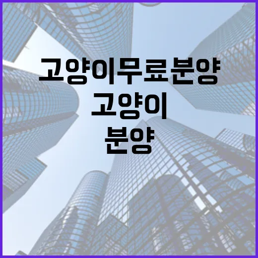 고양이무료분양 글만 믿고 움직였다가 현장에서 다시 본 진짜 비용 - 요약