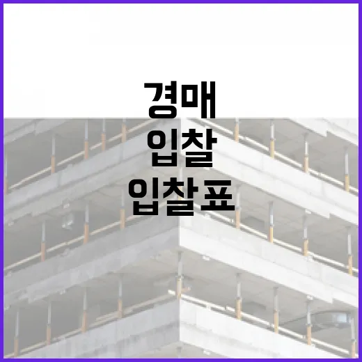 물건경매 처음 따라갔다가 입찰표 접고 나온 날의 진짜 이야기 - 요약