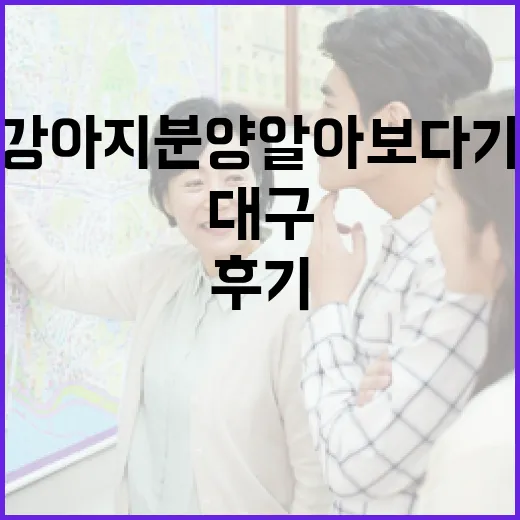 대구강아지분양 알아보다가 계약서부터 본 10년차 투자자의 솔직한 후기 - 요약