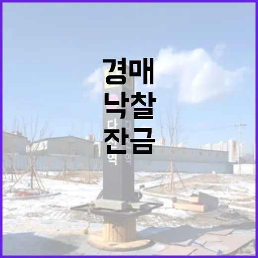경매 물건 낙찰받고 부동산중개 믿었다가 잔금 전날 식은땀 난 이야기 - 요약