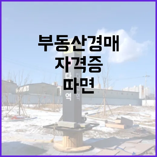 부동산경매자격증 따면 입찰장에서 달라질까, 10년 뛰어본 사람의 솔직한 이야기 - 요약
