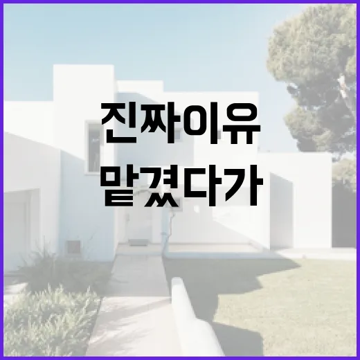 부동산컨설팅 맡겼다가 입찰장 앞에서 멈춘 진짜 이유 - 요약