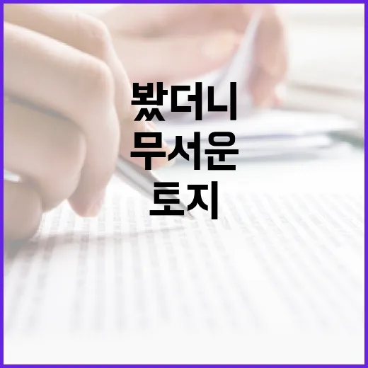 토지경매 몇 번 넣어봤더니, 싼 땅보다 무서운 건 따로 있었습니다 - 요약