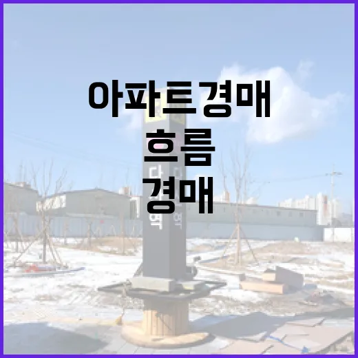 신축아파트 경매 직접 따라가 봤더니, 새집이라는 말에 가려진 돈의 흐름 - 요약