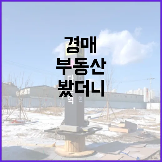 부동산어플만 믿고 경매 물건 찍어봤더니 입찰장에서 식은땀 난 이야기 - 요약