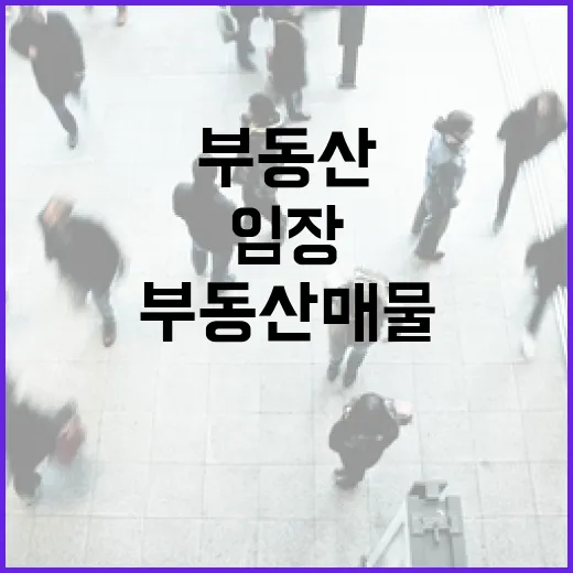 부동산매물사이트만 믿고 임장 갔다가 허탕 친 날의 진짜 이야기 - 요약