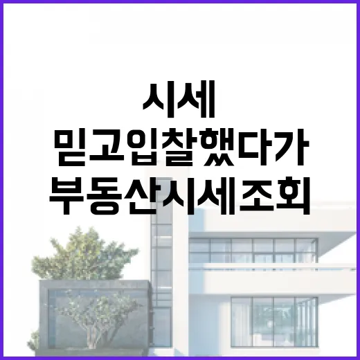 부동산시세조회만 믿고 입찰했다가 현장에서 식은땀 난 이야기 - 요약