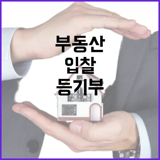 등기부 한 줄 놓쳤다가 입찰 포기한 날, 부동산등기의 진짜 무서움 - 요약