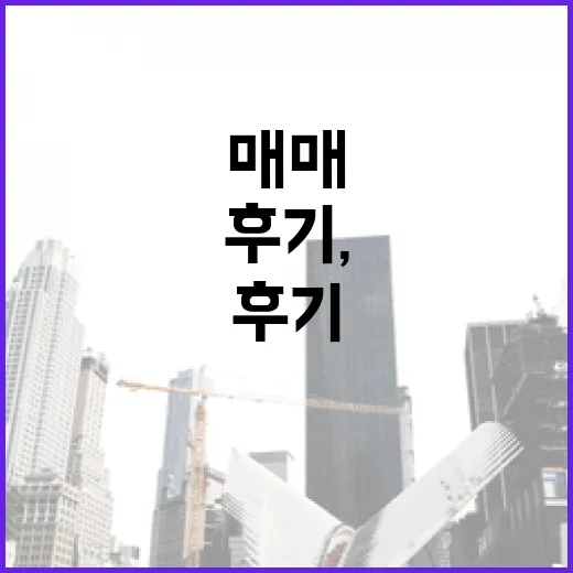 신축빌라매매 직접 말려본 후기, 싸 보여도 계약서 앞에서 멈춰야 하는 이유 - 요약