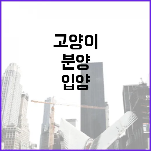 고양이무료분양 알아보다가 입양 비용까지 직접 따져본 이야기 - 요약