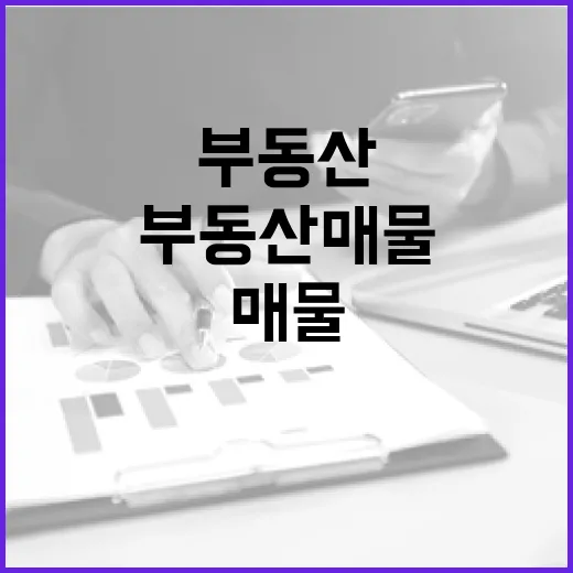 부동산매물 사진만 믿고 갔다가 입찰장에서 식은땀 난 이야기 - 요약