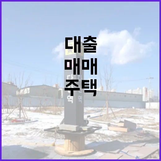 주택매매 계약서 쓰기 전 등기부부터 대출까지 직접 확인해봤더니 - 요약
