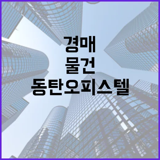 동탄오피스텔 경매 물건 직접 훑어봤더니 숫자보다 먼저 보이는 것들 - 요약