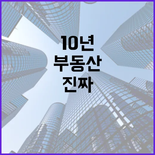 경매장에서 10년 구르며 느낀 부동산공부의 진짜 순서 - 요약