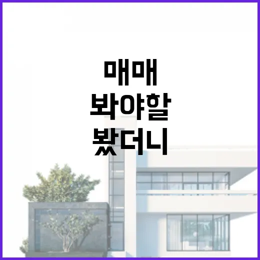호텔매매 물건 직접 검토해봤더니, 숫자보다 먼저 봐야 할 게 따로 있었습니다 - 요약