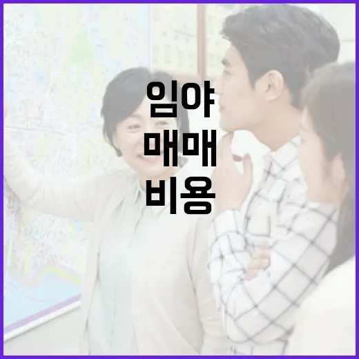 임야매매 물건 직접 따라가봤더니, 싸다는 말 뒤에 숨어 있던 비용들 - 요약