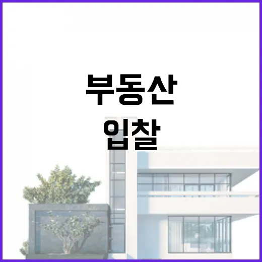 부동산실거래가만 믿고 입찰했다가 식은땀 난 이야기 - 요약
