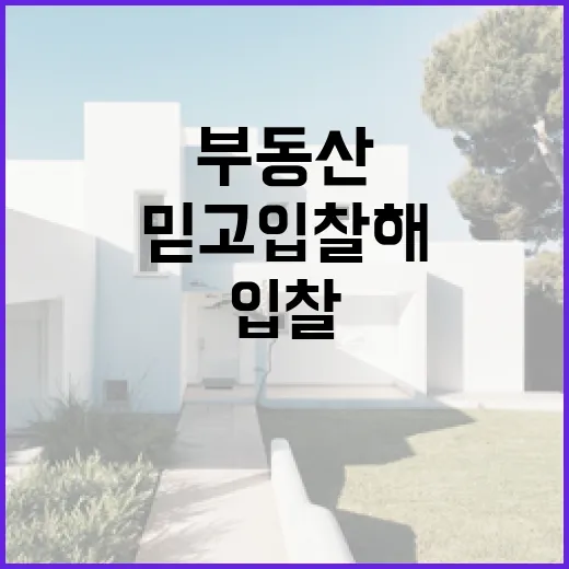 부동산앱만 믿고 입찰해봤다가 현장에서 식은땀 난 이야기 - 요약