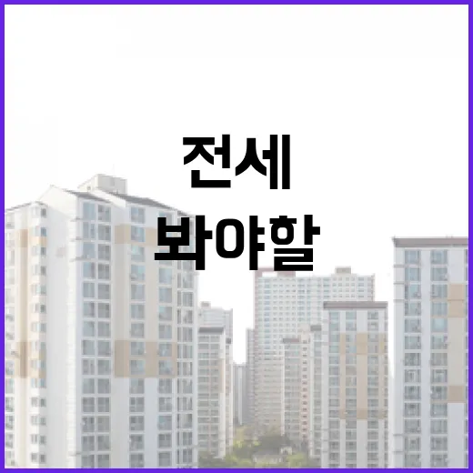 투룸전세 물건 직접 따라가 봤더니, 싼 집일수록 먼저 봐야 할 게 따로 있었습니다 - 요약