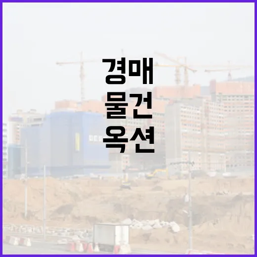 옥션경매로 첫 물건 찍어봤더니, 화면에 안 보이는 돈이 더 무서웠습니다 - 요약