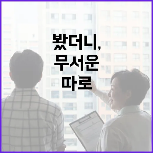 시골집매매 직접 따라가 봤더니, 싼 집보다 무서운 건 따로 있었습니다 - 요약
