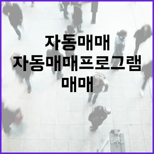 자동매매프로그램 믿고 돈 넣어봤던 사람들을 옆에서 지켜본 진짜 이야기 - 요약
