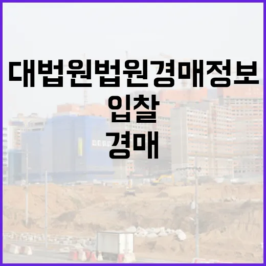 대법원법원경매정보만 믿고 입찰했다가 현장에서 식은땀 난 이야기 - 요약