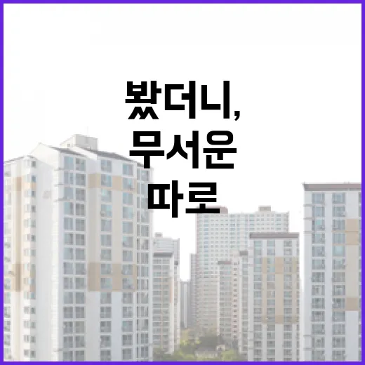 하이엔드오피스텔 경매장까지 따라가 봤더니, 숫자보다 무서운 게 따로 있었습니다 - 요약