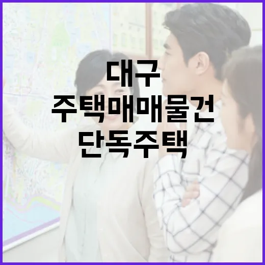 대구 단독주택 매매 물건 직접 보러 다녀왔더니 보이는 것들 - 요약