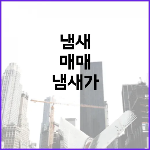 당구장매매 물건 따라가 봤더니, 권리보다 매출표에서 먼저 냄새가 났습니다 - 요약