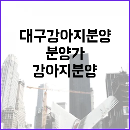 대구강아지분양 상담 직접 받아보니, 분양가보다 먼저 봐야 할 게 있더라 - 요약