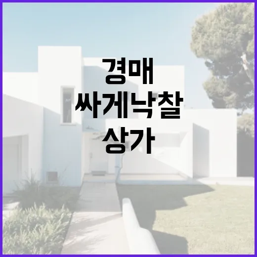 상가경매 직접 따라가 봤더니, 싸게 낙찰받아도 웃기 어려운 이유 - 요약