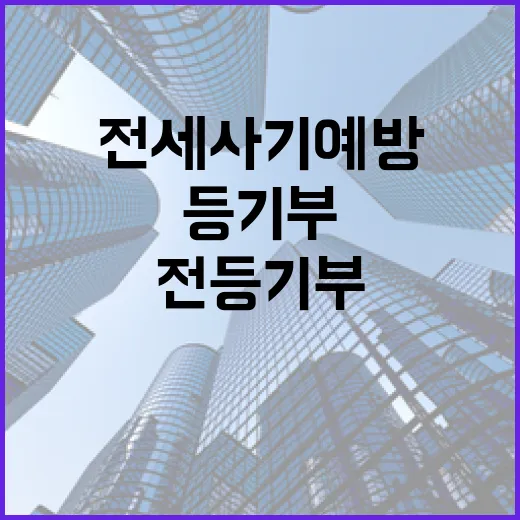 전세 계약서 쓰기 전 등기부를 세 번 봤더니 보인 전세사기예방의 진짜 이야기 - 요약