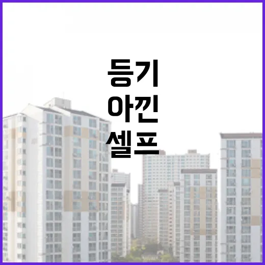 셀프등기 직접 해봤더니, 아낀 돈보다 더 크게 보인 것들 - 요약