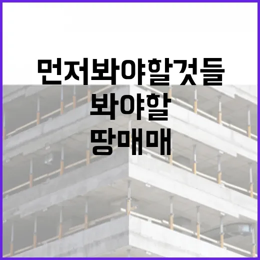 땅매매 직접 해봤더니, 싸 보이는 땅일수록 먼저 봐야 할 것들 - 요약