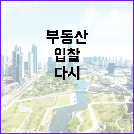 부동산사이트만 믿고 입찰했다가 현장에서 다시 계산한 이야기 - 요약