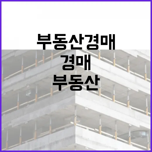 동탄부동산 경매 물건 따라가 봤더니, 역세권보다 먼저 봐야 할 게 있었습니다 - 요약