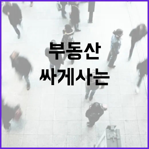 법원 입찰장 10년 다녀봤더니, 부동산은 싸게 사는 것보다 안 물리는 게 먼저였습니다 - 요약